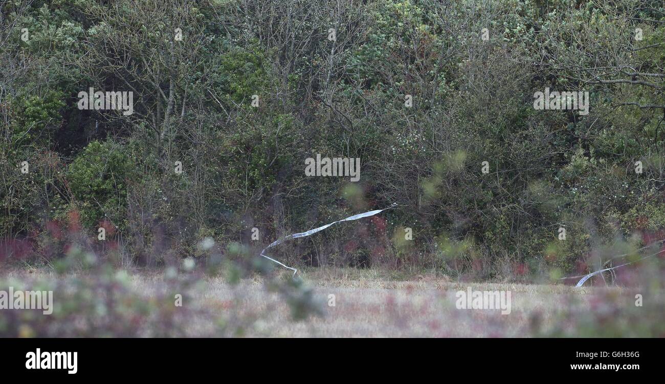 Gardai-Band in der Nähe von Wald am Mayne in Clonee, im Westen Dublins, während Detektive, die die Entdeckung eines menschlichen Arms im Waldgebiet untersuchen, ihre Suche nach anderen Körperteilen fortsetzen. Stockfoto