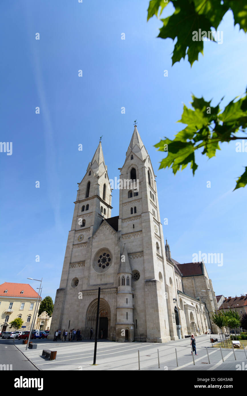 Kathedrale, Wiener Neustadt, Österreich, Niederösterreich, Österreich, Wiener Alpen, Voralpen Stockfoto