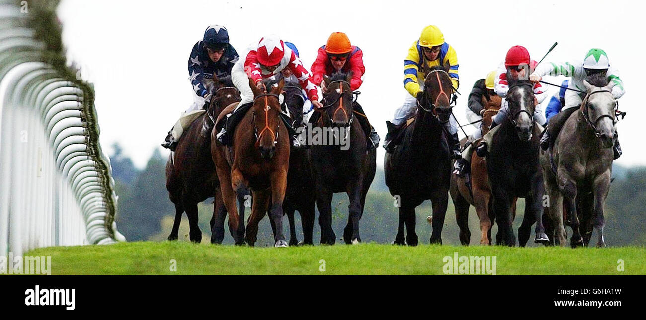 Olihider Ascot. Olihider, geritten von R Mullen, gewinnt ganz rechts die Southern Electric Nursery Handicap Stakes bei Ascot. Stockfoto