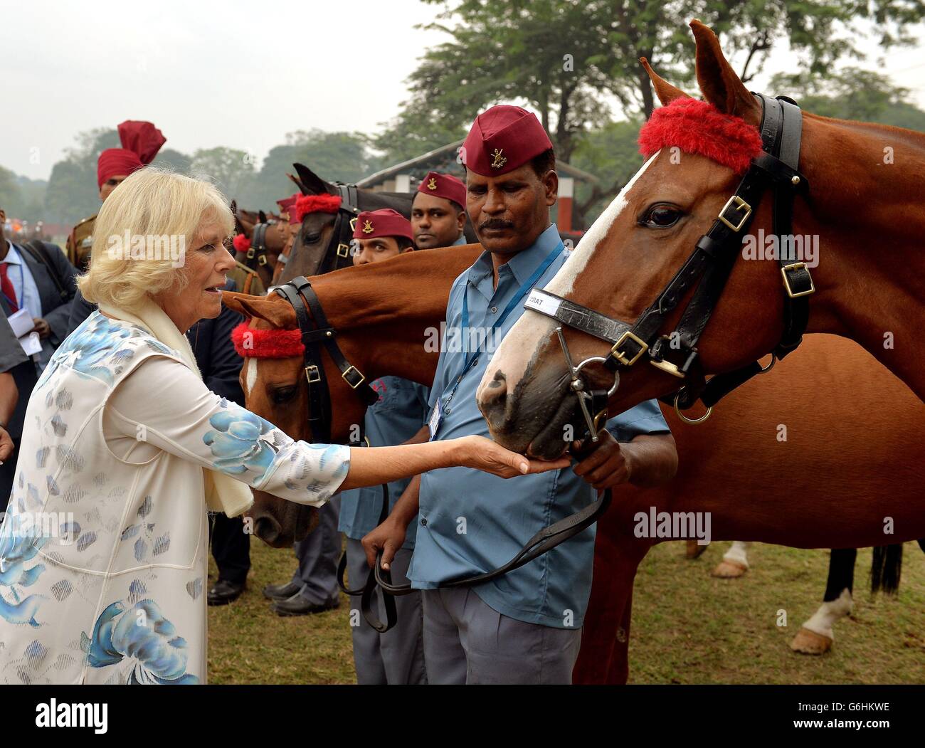 Die Herzogin von Cornwall behandelt ein Pferd mit einem Zuckerklumpen, nachdem am zweiten Tag der elftägigen Tour durch Indien und Sri Lanka eine Pferdeausstellung von Gentlemen Cadets in der Indian Military Academy in Dehradun, Nordindien, gezeigt wurde. Stockfoto