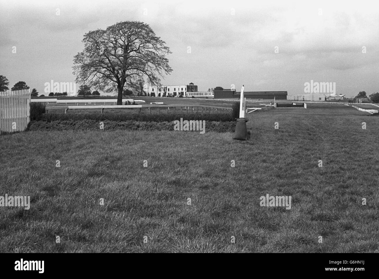 Pferderennen - Warwick Rennbahn - 1975 Stockfoto