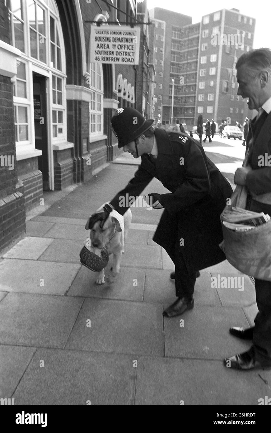 News - Bombe Plot Trial - Sandy die Labrador von Sicherheit in Lambeth Magistrates' Court - London gesucht wird Stockfoto