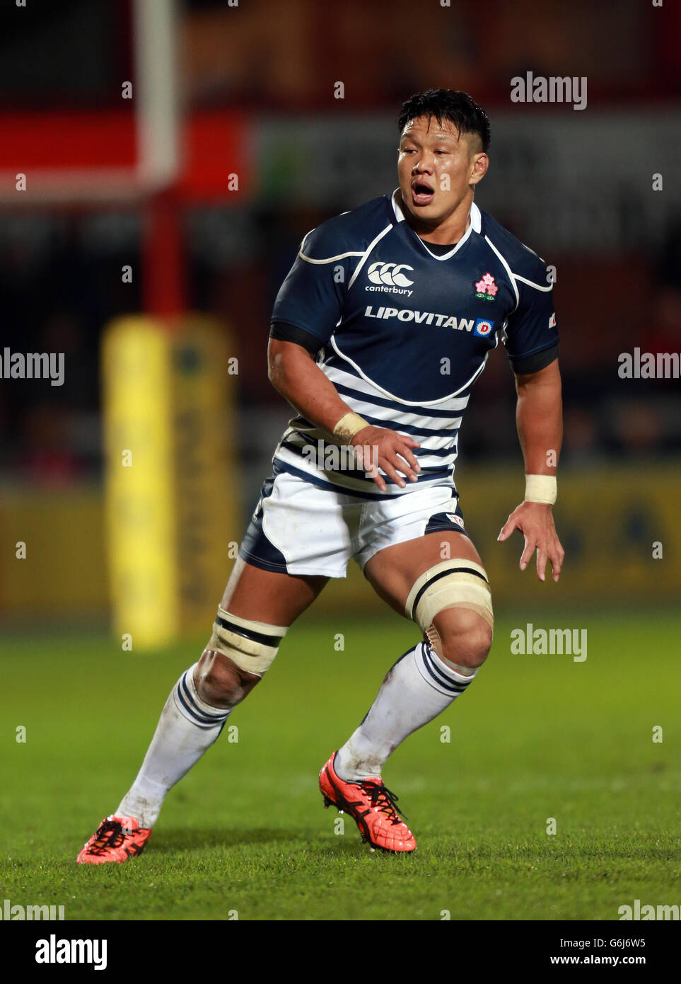 Rugby-Union - internationale Freundschaftsspiele - Gloucester V Japan - Kingsholm Stockfoto