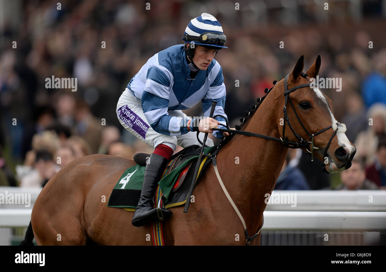 Afrikanisches Gold, das von Jockey Sam Twiston-Davies geritten wird, tritt während des zweiten Tages des Open Festivals auf der Cheltenham Racecourse in der Roy Blandford 65 Years bei Cheltenham Novices' Chase auf. Stockfoto