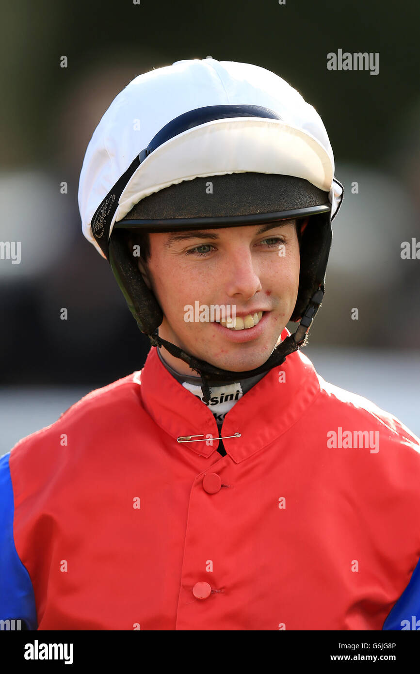 Pferderennen - Huntingdon Racecourse Stockfoto