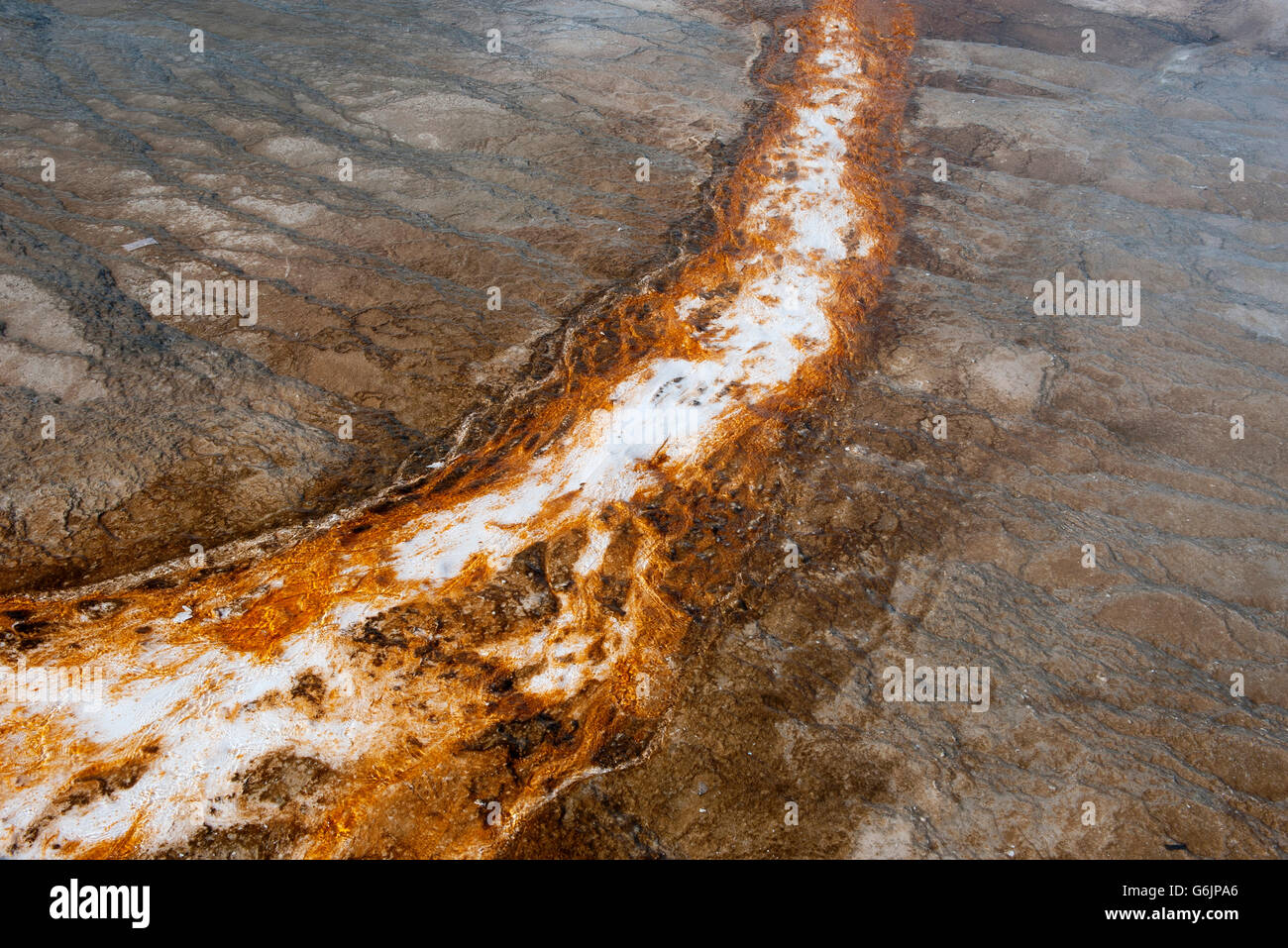 Mudpot oder heißen Quellen im Yellowstone-Nationalpark, Wyoming, USA Stockfoto