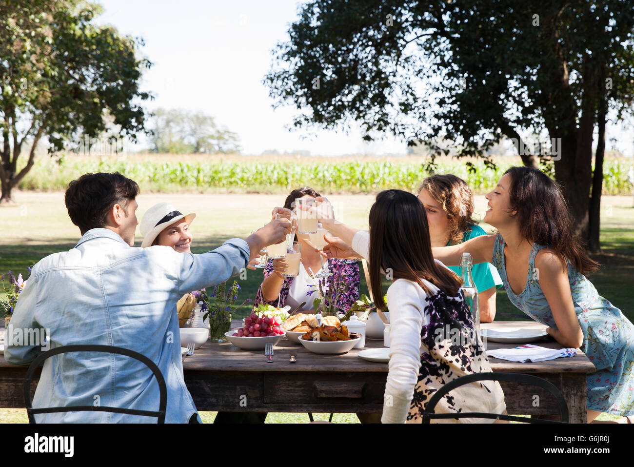 Freunde, die klirrende Gläser, genießen Mahlzeit zusammen im freien Stockfoto