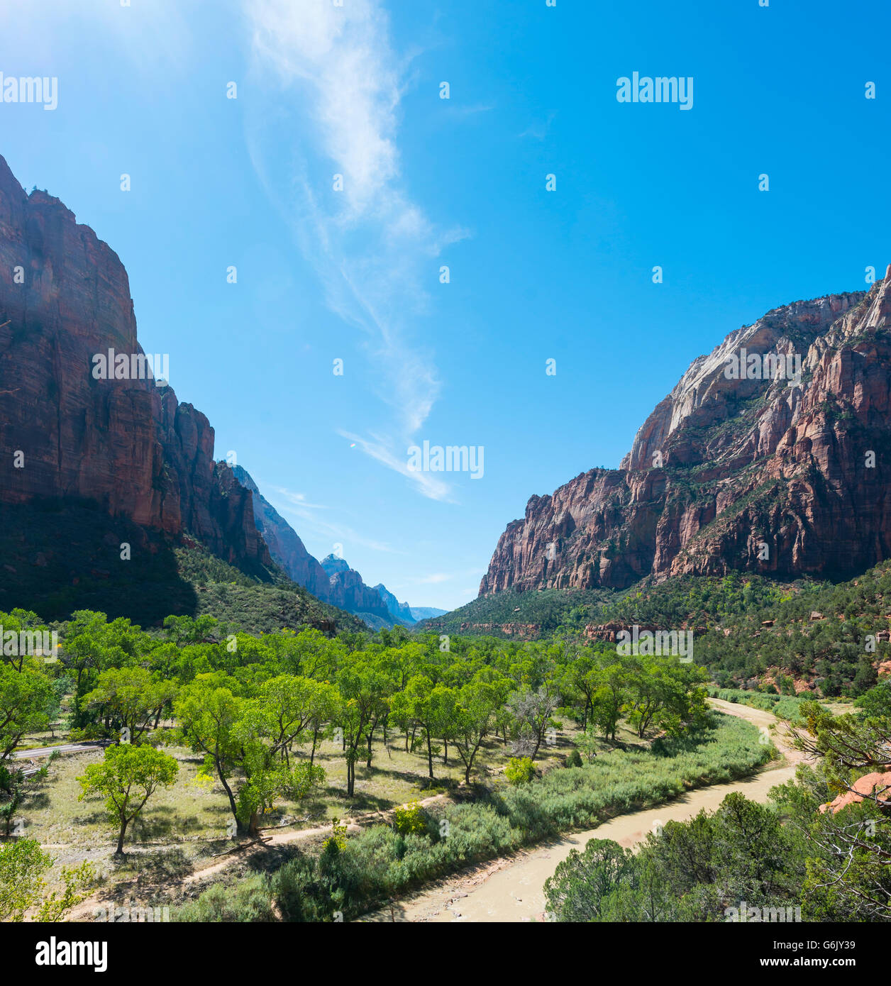 Virgin River fließt durch das Tal, die Zion Canyon, Zion Nationalpark, Utah, USA, Nordamerika Stockfoto