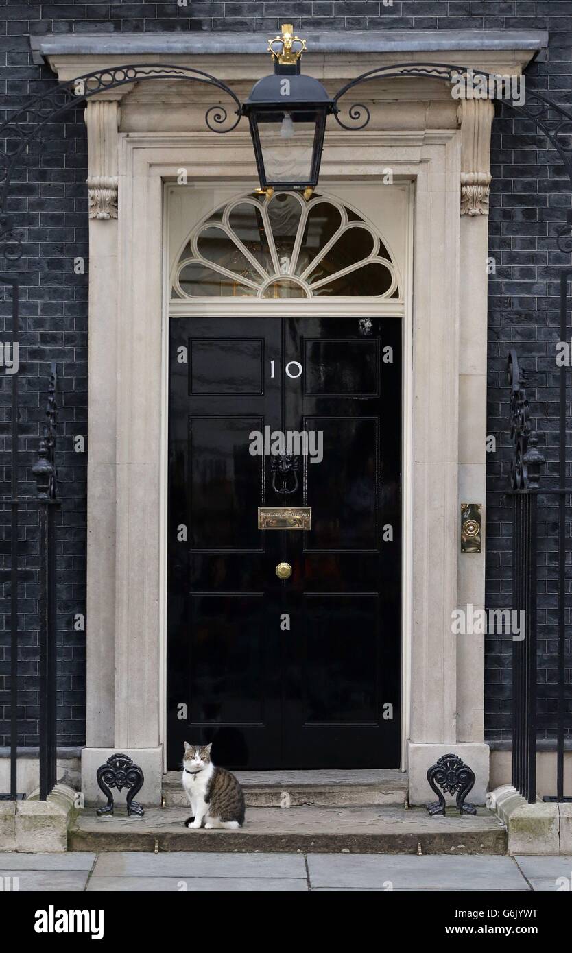 Larry Downing Street Katze auf den Stufen der 10 Downing Street, London, nachdem Großbritannien gestimmt, der Europäischen Union in einer historischen Volksabstimmung zu verlassen die Westminster Politik in Unordnung geworfen hat und schickte das Pfund auf den Weltmärkten taumeln. Stockfoto