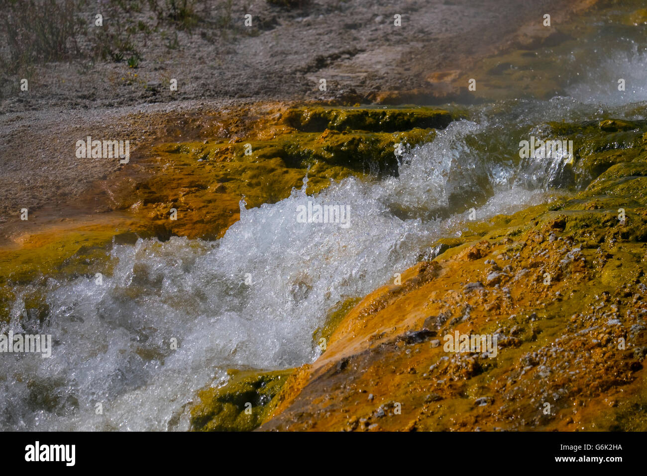 Mitte-Geysir-Becken, Yellowstone, USA Stockfoto