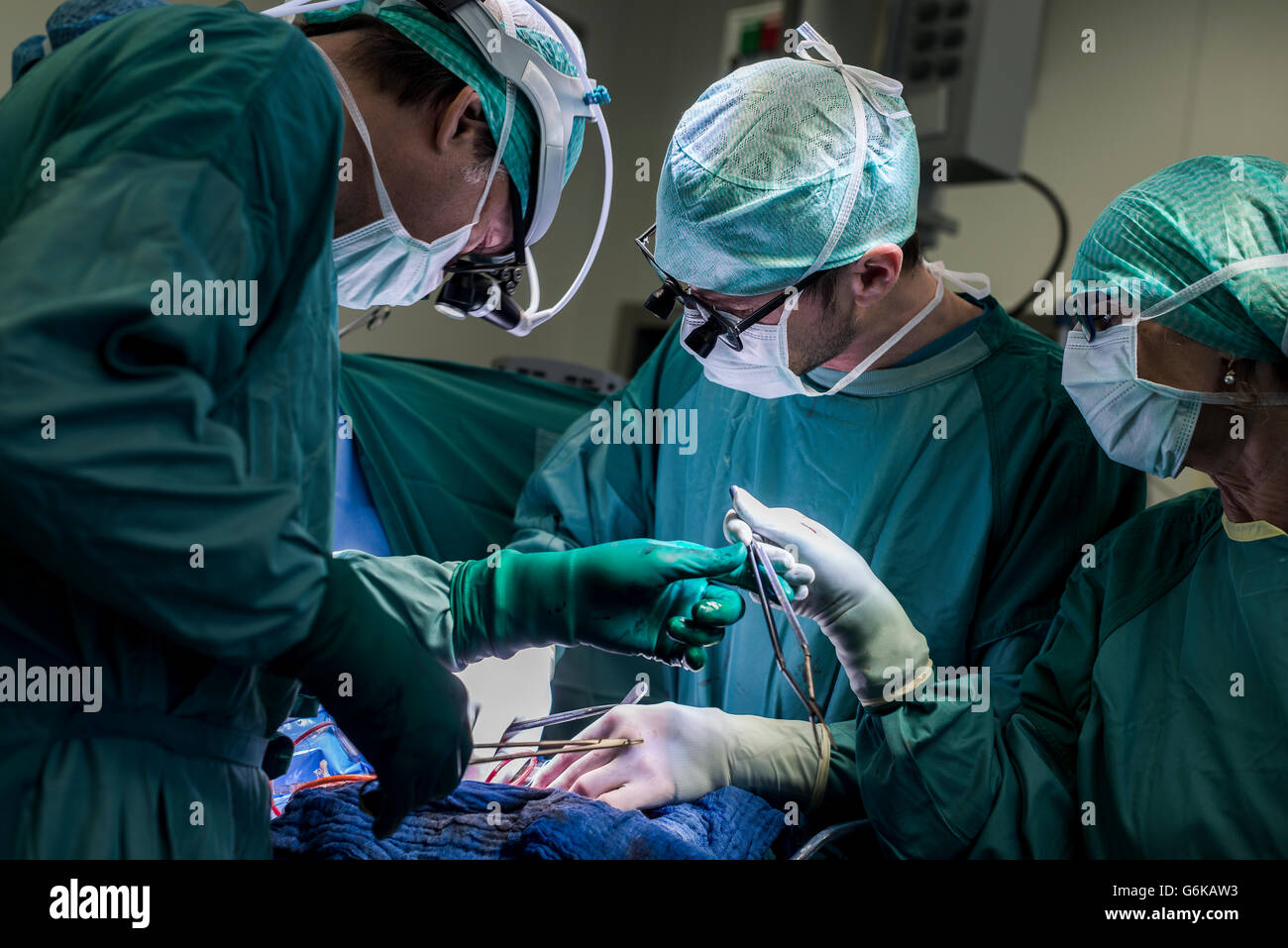 Herzchirurgen und OP-Krankenschwester während einer Herzoperation Stockfoto