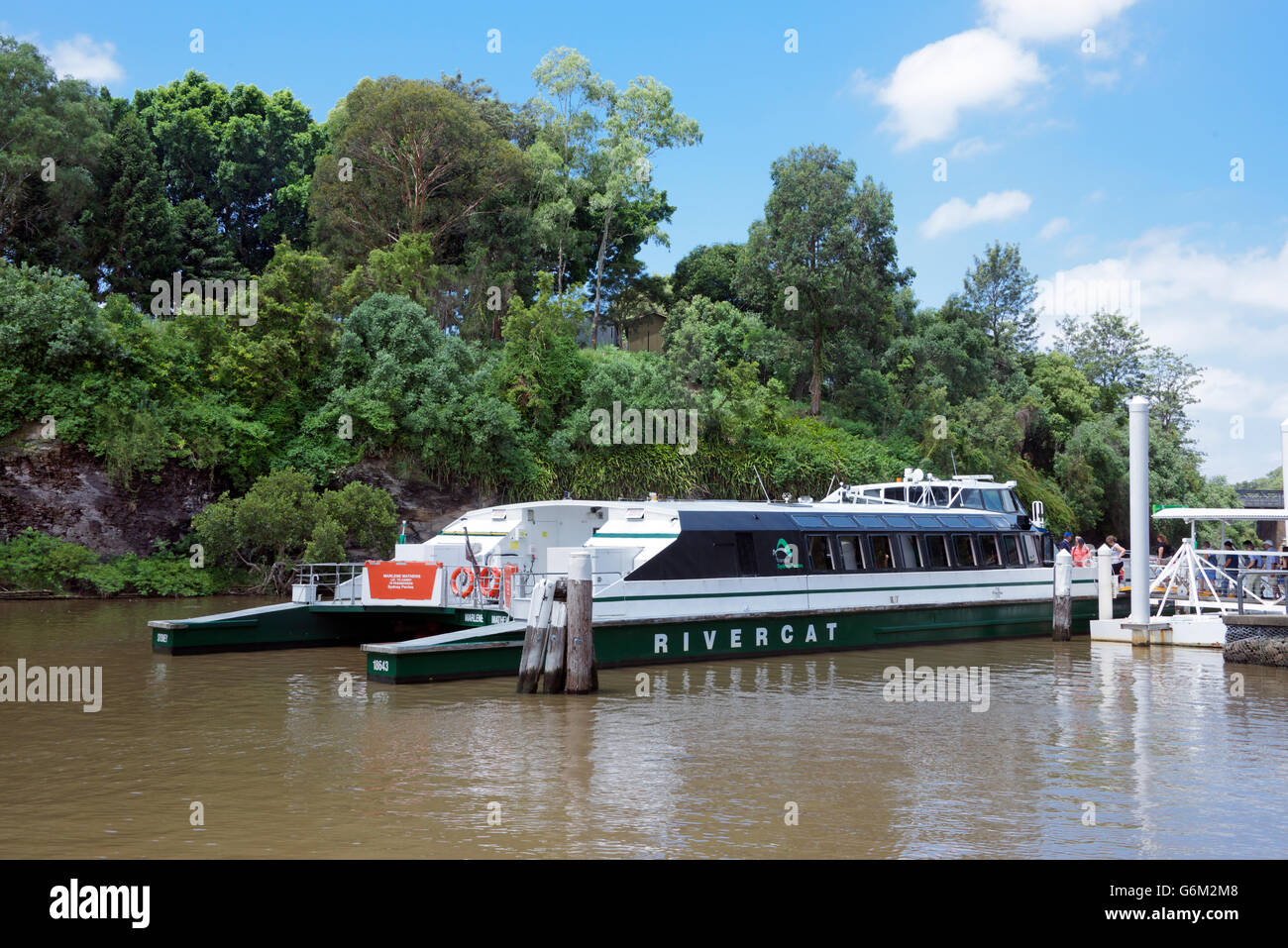 Rivercat Fähre Parramatta Sydney NSW Australia Stockfoto