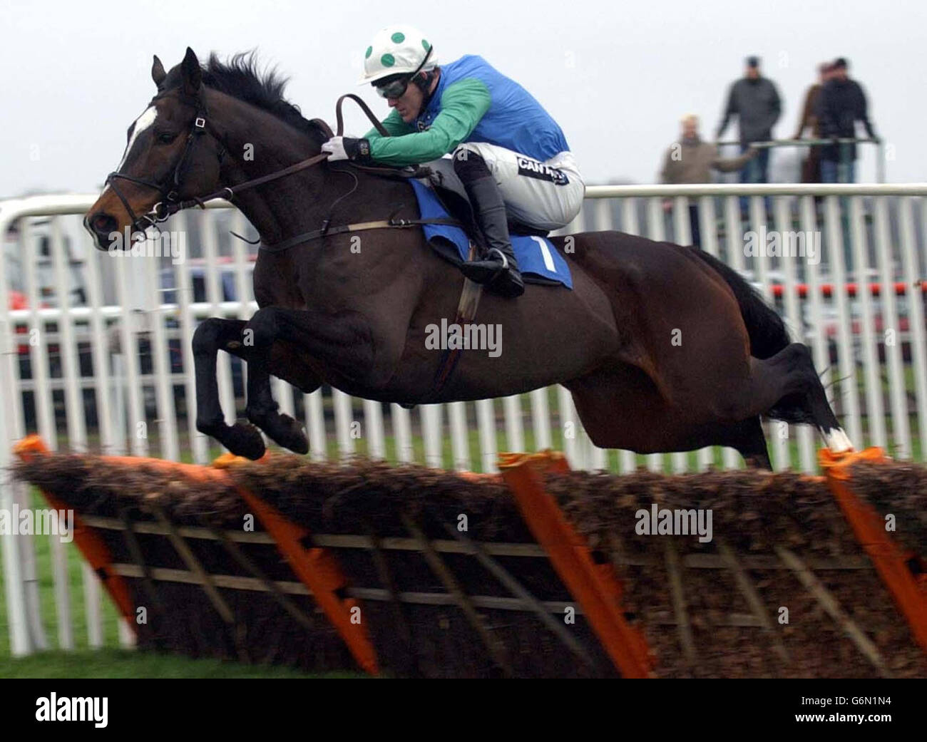 Contraband, geritten von Tony McCoy gewinnt die Pertemps Unterstützung SIA Novices' Hurdle Race in Kempton Park. Stockfoto