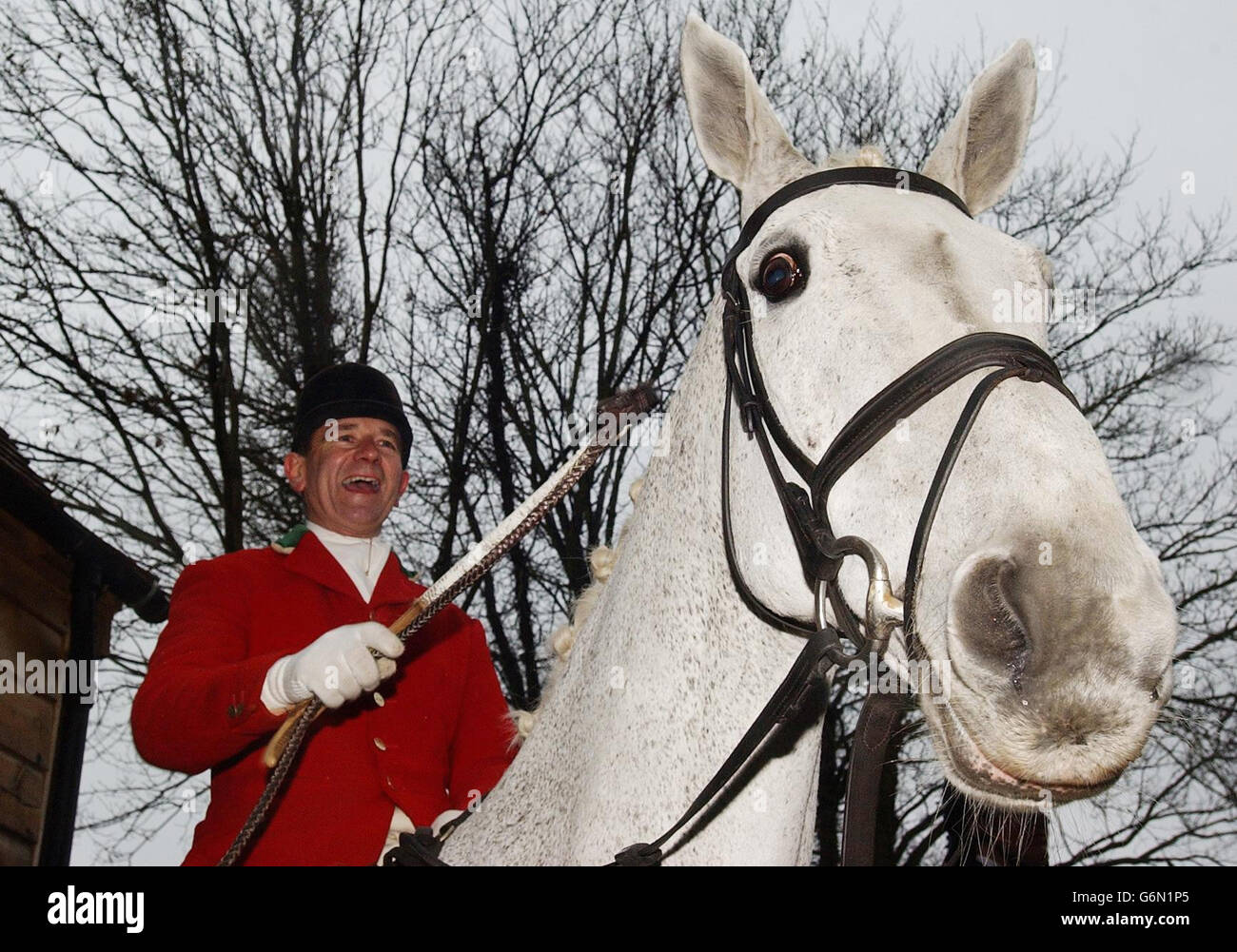 Politik-Jagd Stockfoto