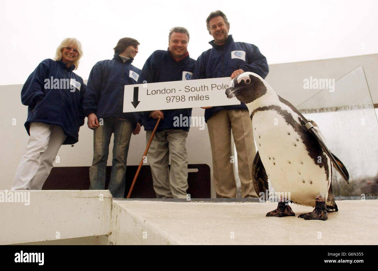Support-Team, Babs Powell (links), Pedro Munoz (zweite links) und Miles Peckham (rechts) mit Michael McGrath und Amelia, dem Pinguin, während einer Fotozelle im Pinguingehege im Londoner Zoo, Regent's Park. Der britische Geschäftsmann McGrath begibt sich in zwei Tagen auf eine Expedition zum Südpol, um als erster behinderter Mensch sowohl den Nord- als auch den Südpol zu erreichen (er eroberte den Nordpol im April 2002). Michael leidet seit 20 Jahren an Muskeldystrpohie und das zweijährige Projekt zielt darauf ab, 1 Million für die Erforschung und Linderung von Muskelerkrankungen zu sammeln. Stockfoto