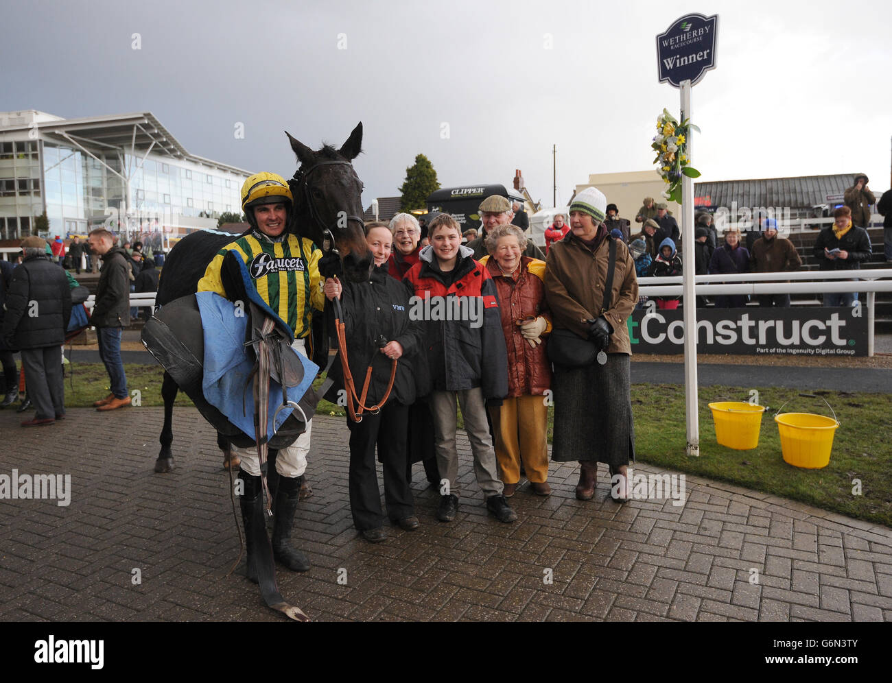 Pepite Rose, Jockey Liam Treadwell und gewann Verbindungen nach dem William Hill Castleford Handicap Steeple Chase im zweiten Tag des William Hill Yorkshire Winter Festivals 2013 auf der Wetherby Racecourse. Stockfoto