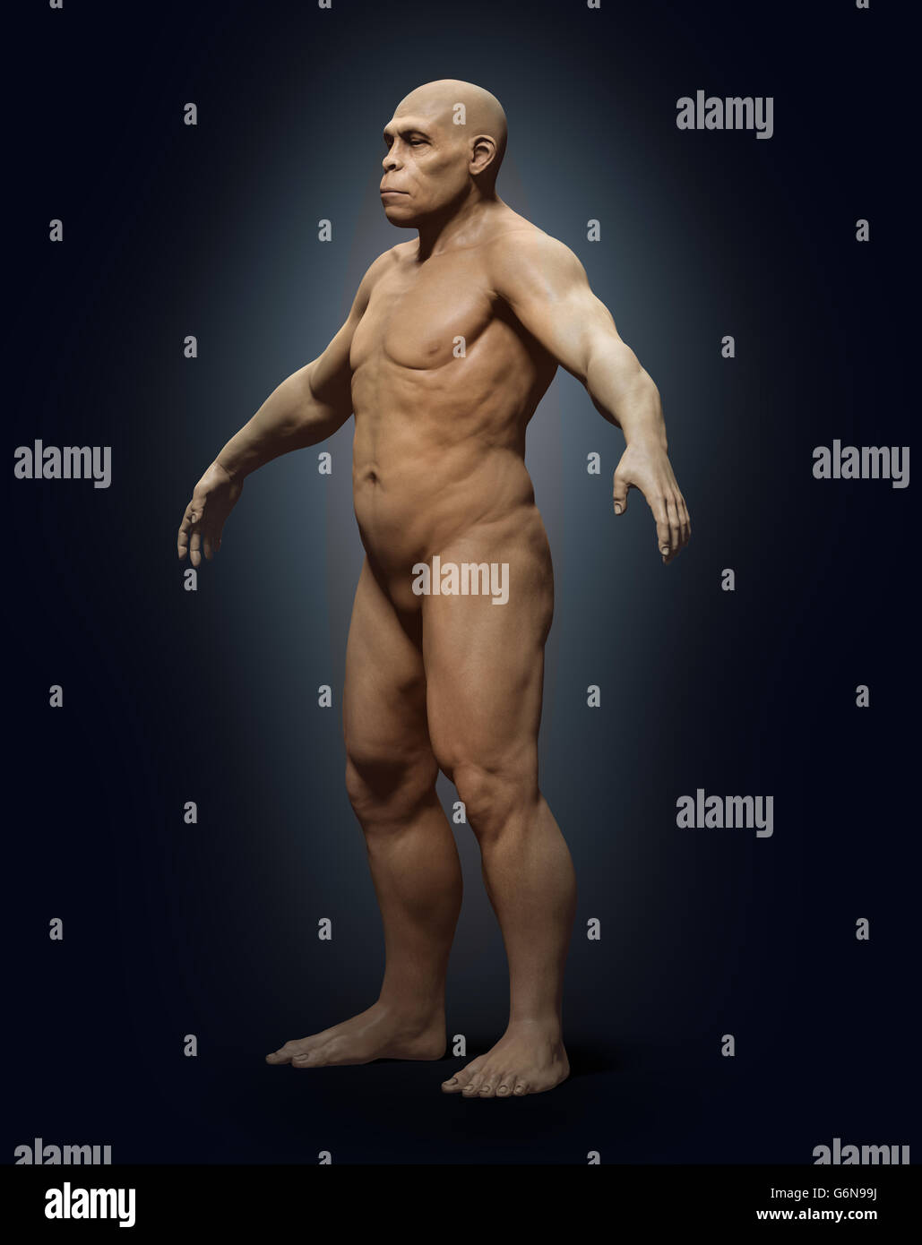 Ein 3D Rendering eines Vorfahren des Homo Sapiens - Homo erectus Stockfoto