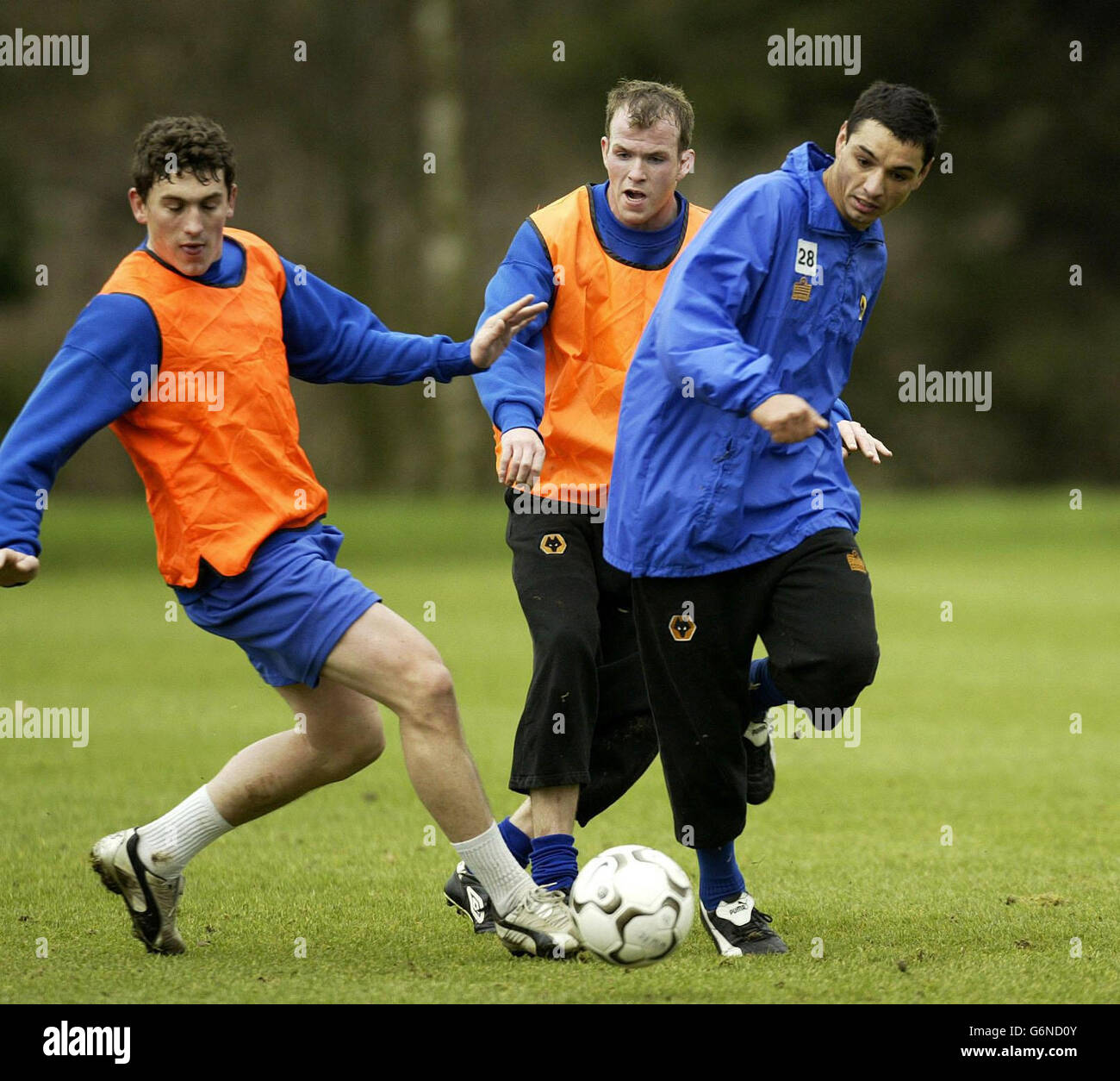 Wolverhampton Wanderers neuer Stürmer, rumänischer Nationalspieler, Ioan Viorel Ganea (R) beim Training auf dem Compton-Trainingsgelände des Clubs, bevor sein Verein am Samstag in der dritten Runde des FA Cup gegen Kidderminster Harriers aufgeht. Stockfoto