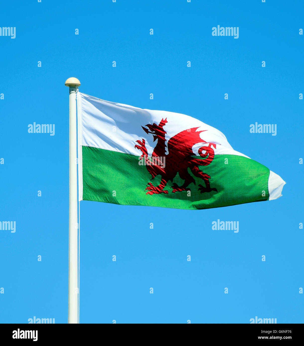 Flagge von Wales Stockfoto