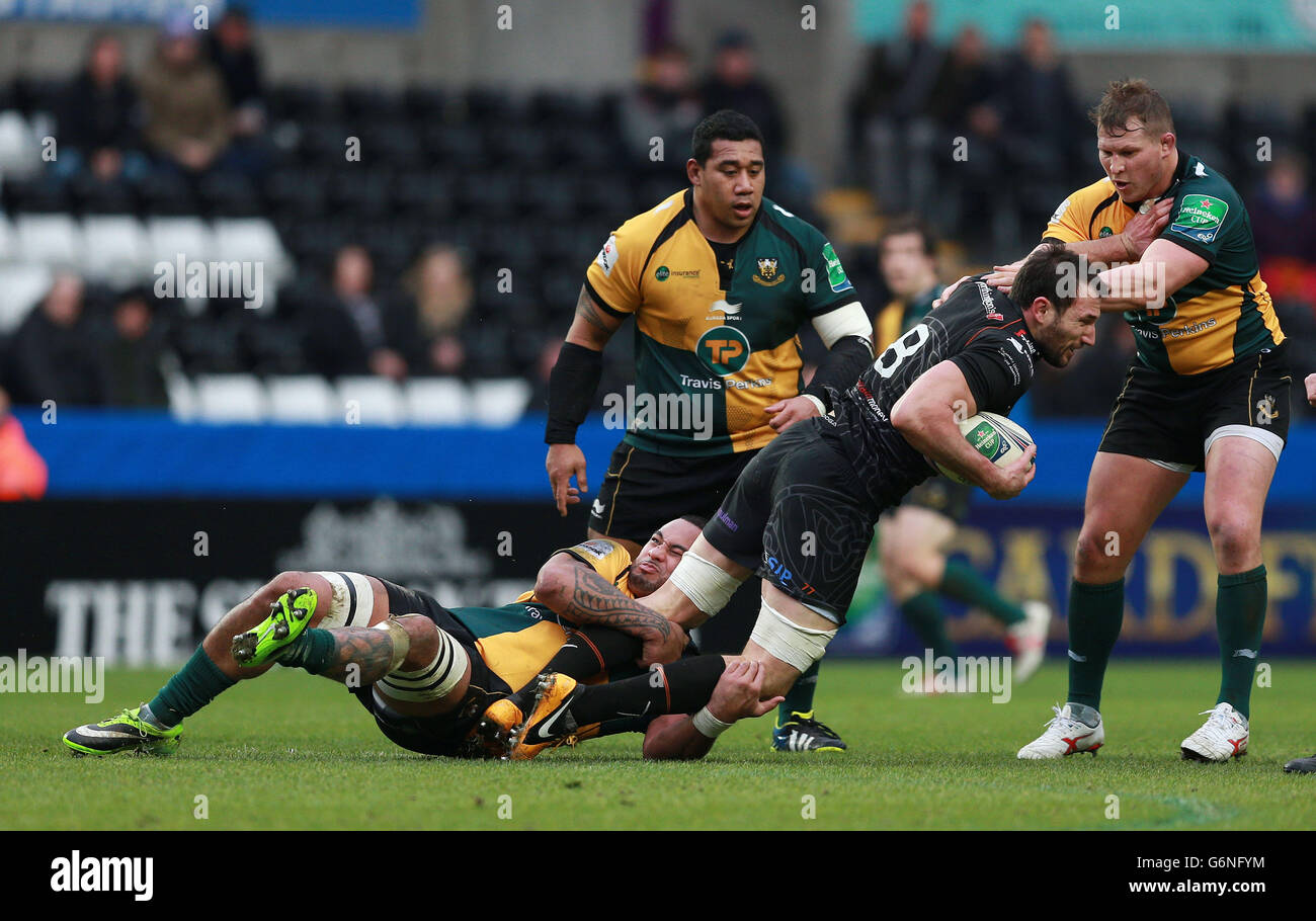 Die Fischadler Joe Bearman wird während des Heineken Cup von Northampton's Samu Manoa und Dylan Hartley angegangen, Pool One Match im Liberty Stadium, Swansea. Stockfoto