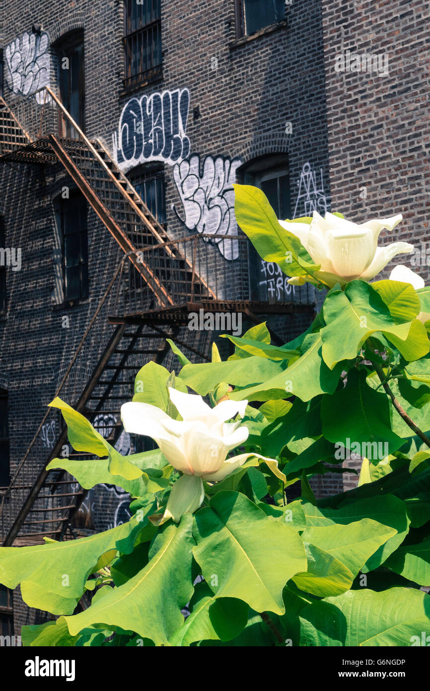 Landschaftsbau auf High Line Park, New York Stockfoto