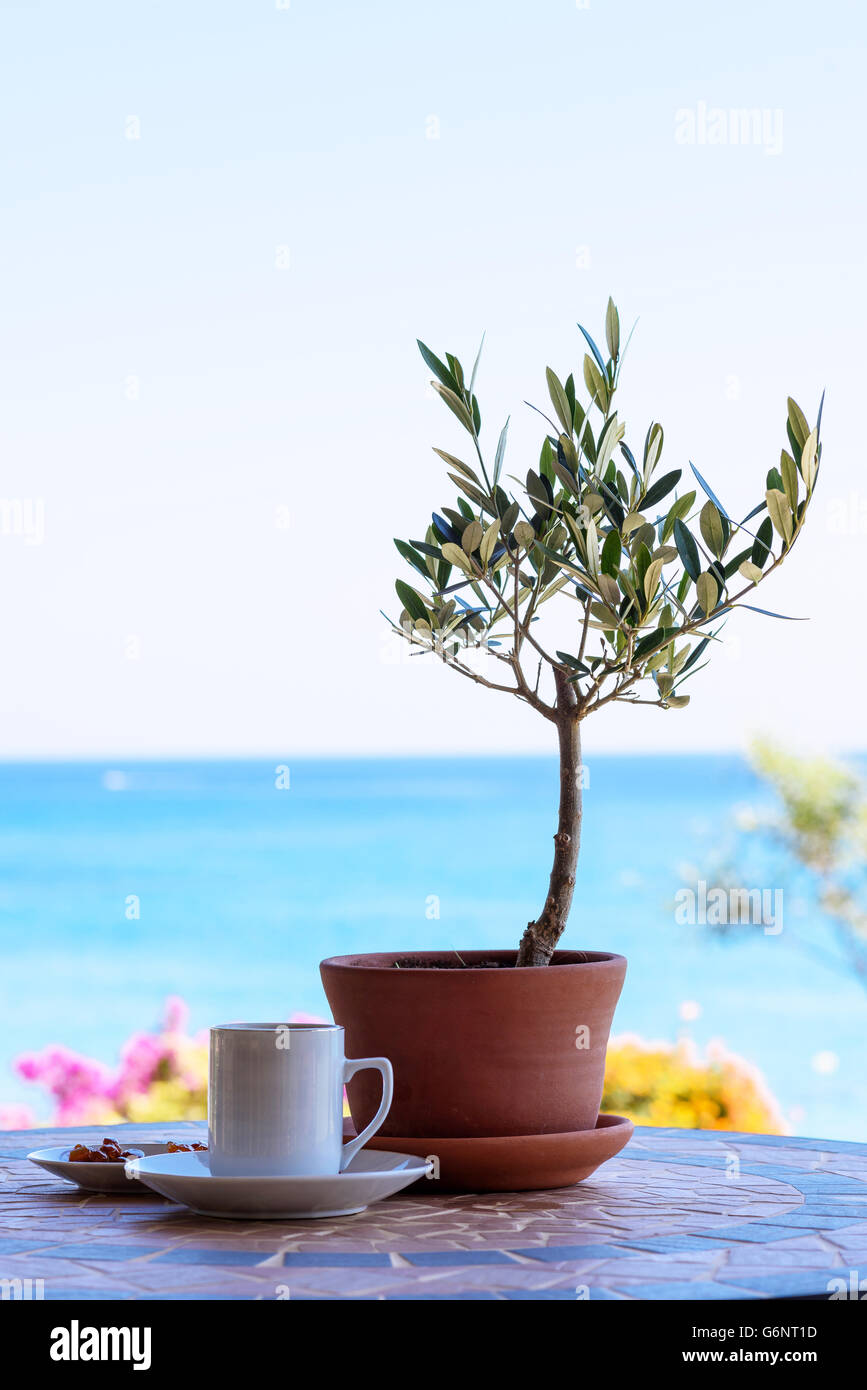Tasse Kaffee auf einem Tisch mit Olivenbaum, mit Blick auf das Meer und Himmel. Stockfoto