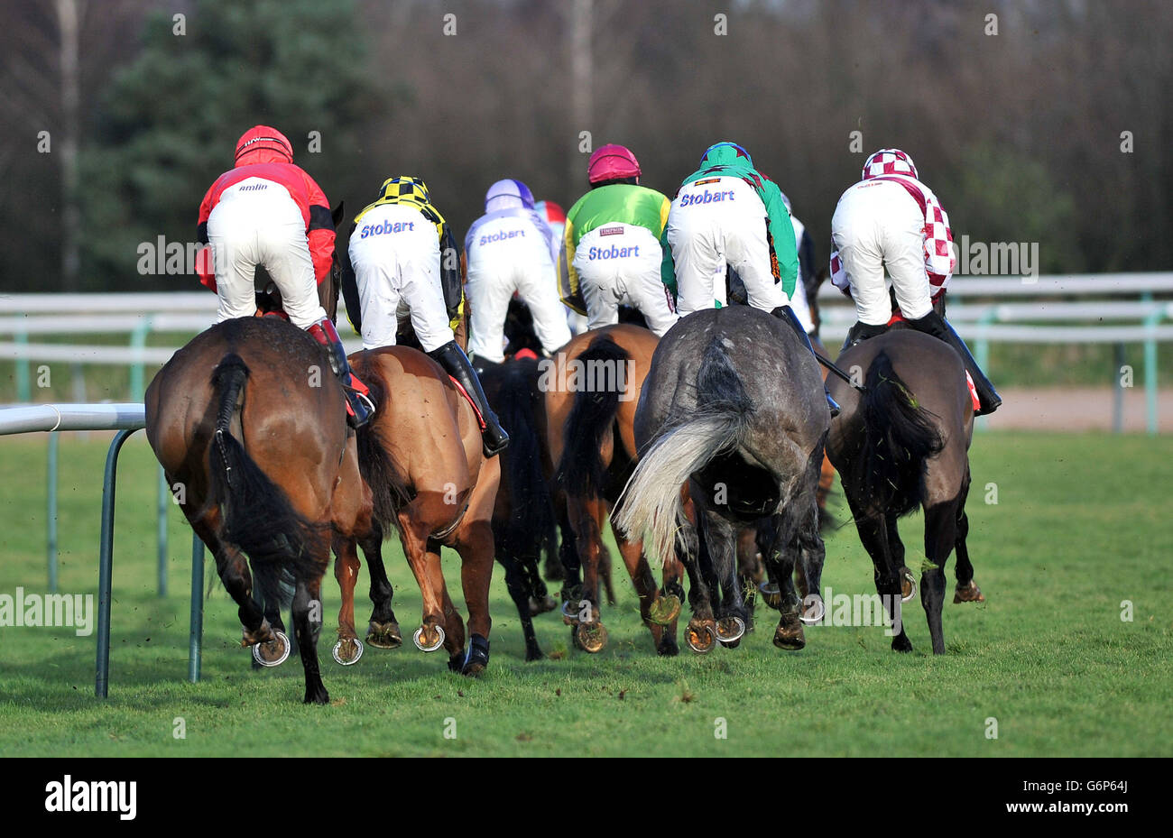 Läufer und Reiter während der Your Favorite Pool Wetten auf totepool.com Anfänger-Hürde auf der Southwell Racecourse, Southwell. Stockfoto