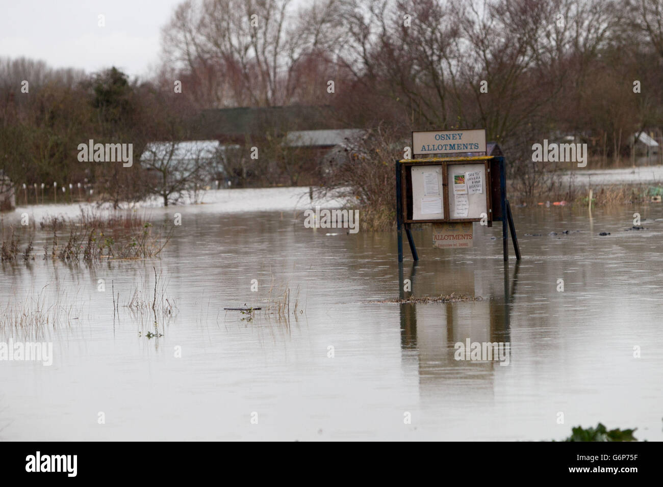 Zuteilungen in der Nähe der Botley Road in Oxford haben überschwemmt, da es im ganzen Land weiterhin stark regnet. Stockfoto