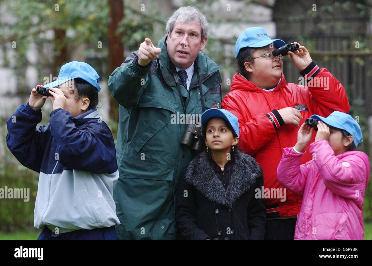 25. RSPCA-großer Garten-Vogelbeobachtung Stockfoto