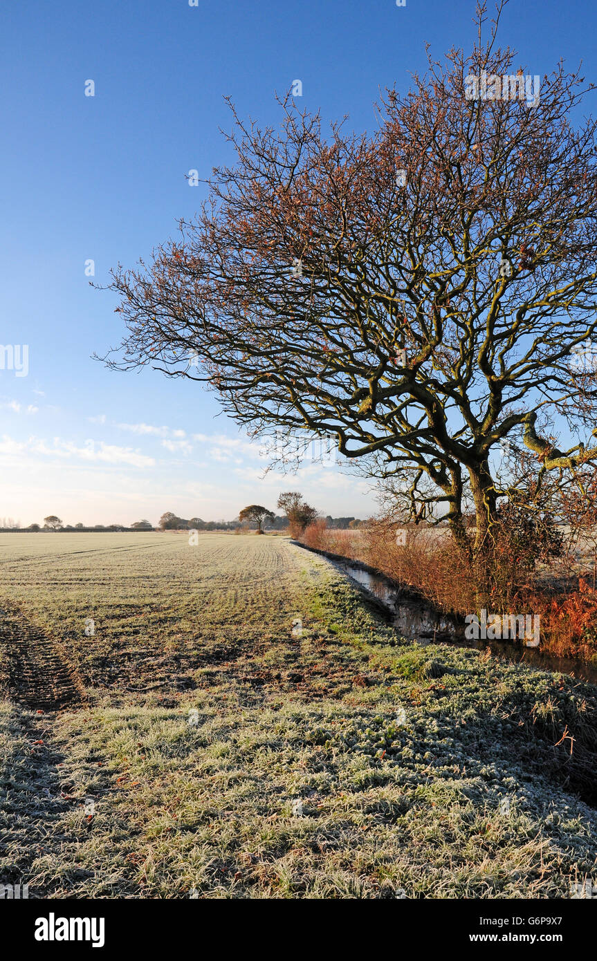 Entwässerungsgraben auf die Küstenebene.  Winter. Frost. Stockfoto