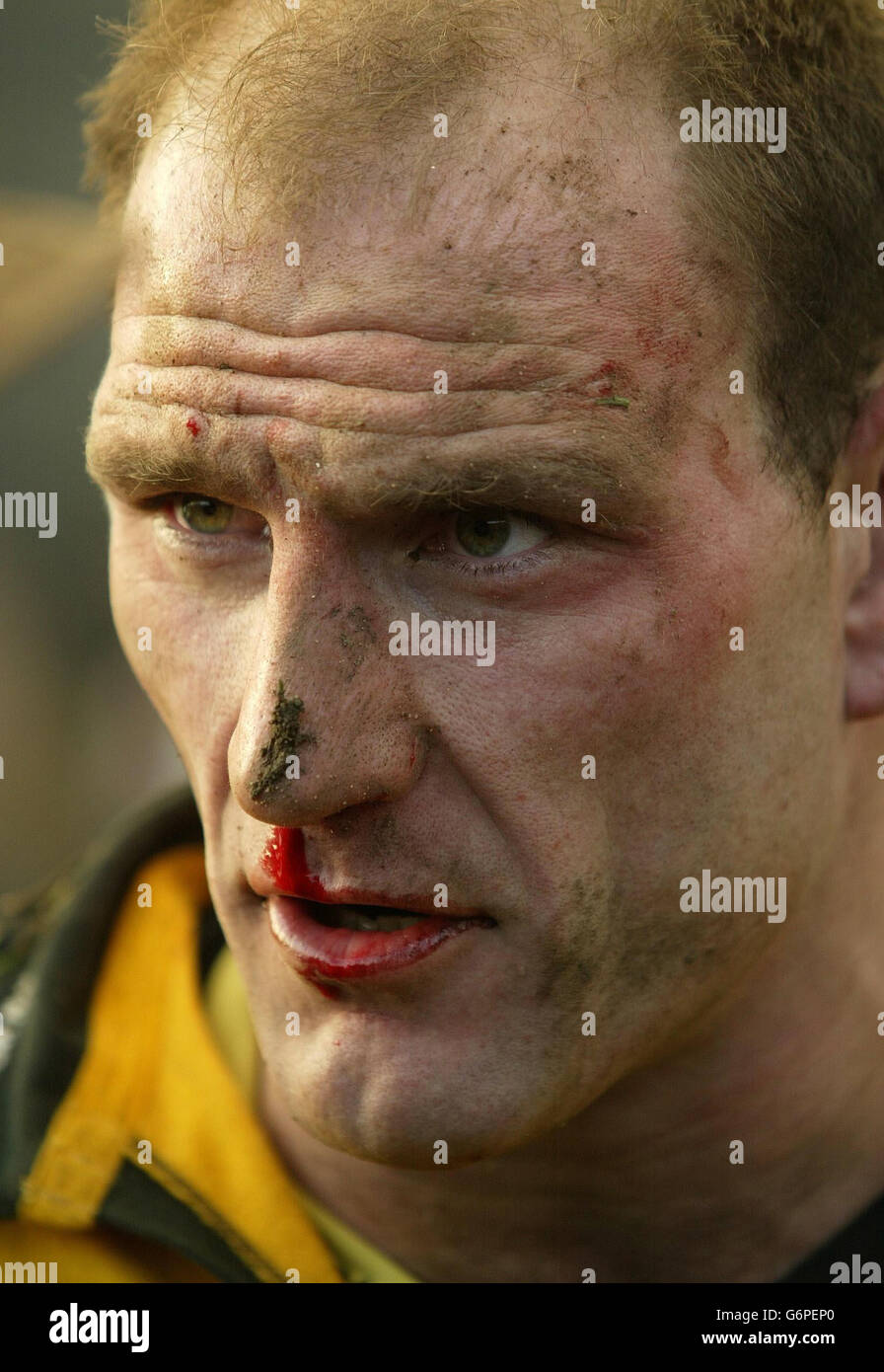 Lawrence Frank Bad V Wespen Stockfoto