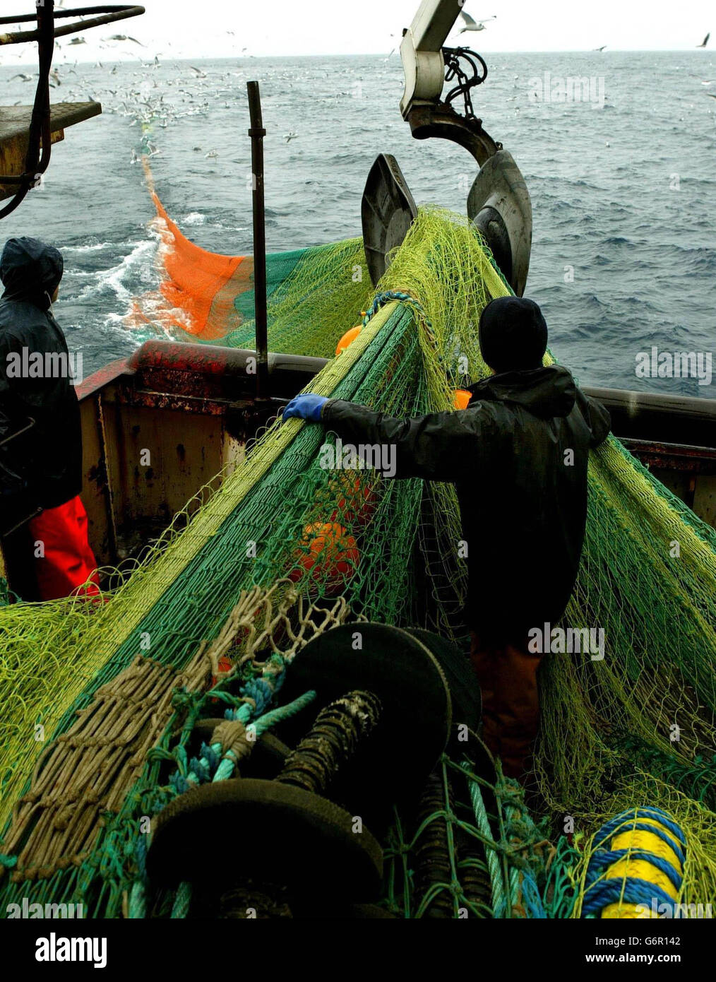 Kabeljau und Schellfisch werden von einem Fang mit zwei Schleppleinen zwischen Norwegen und den Shetland-Inseln in der Nordsee abgesenkt. Schottland ist die Heimat des größten Teils der britischen Seefischereiindustrie, wobei viele Küstengemeinden davon abhängig sind, um ihren Lebensunterhalt zu verdienen. Angesichts der Sorge um den Rückgang der Fischbestände, insbesondere des Kabeljaubestands, hat die Europäische Gemeinsame Fischereipolitik Fangquoten eingeführt, und es gibt jetzt Sorgen über die langfristige Zukunft der Branche in Schottland. ANM. Beim Schleppnetzfischerei ziehen zwei Schiffe auf beiden Seiten eines Netzes. Stockfoto