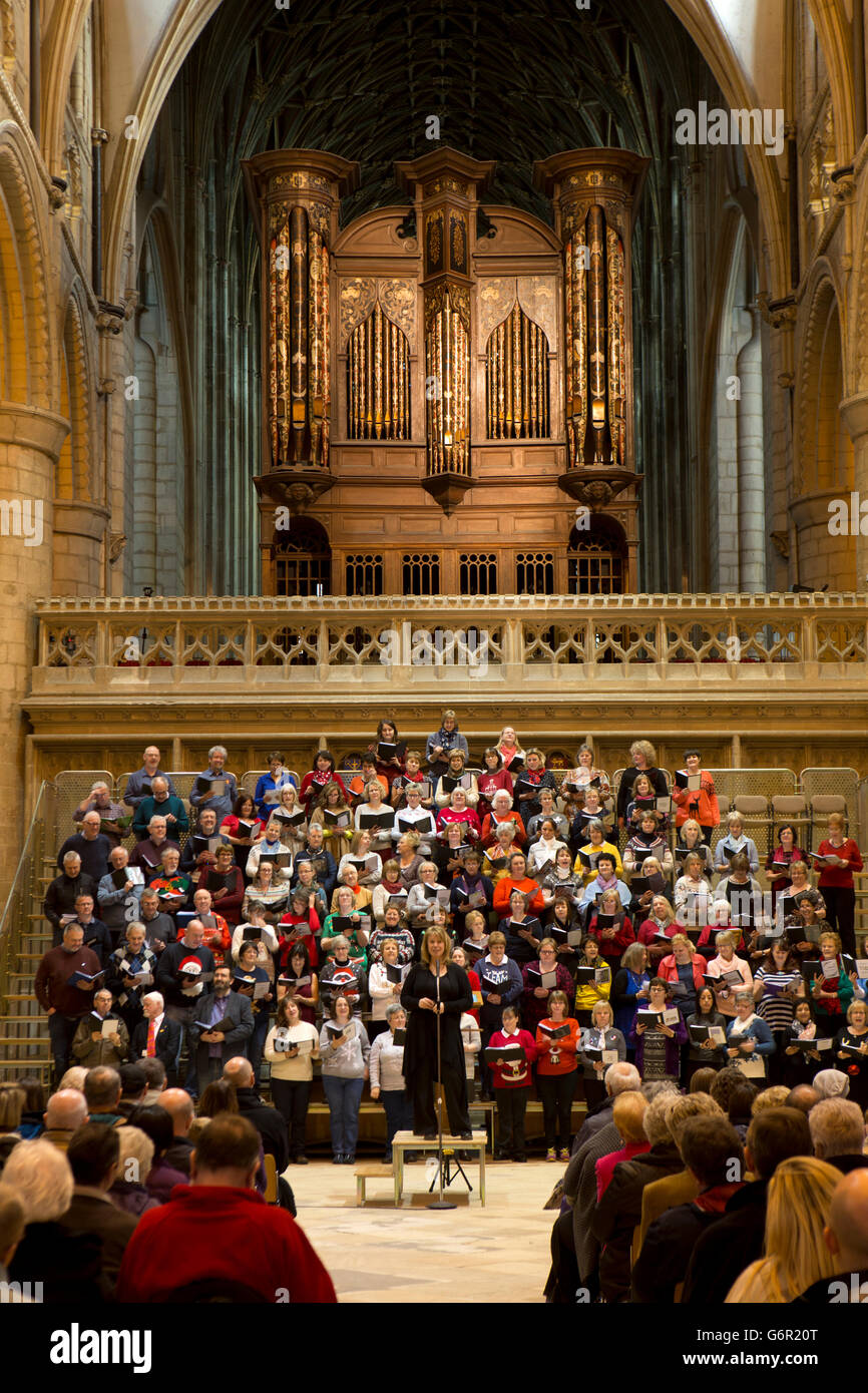 UK, Gloucestershire, Gloucester, Kathedrale, informelle Mittagessen Konzert von NHS Arbeitnehmers Pflege Chor unter der Orgel Stockfoto