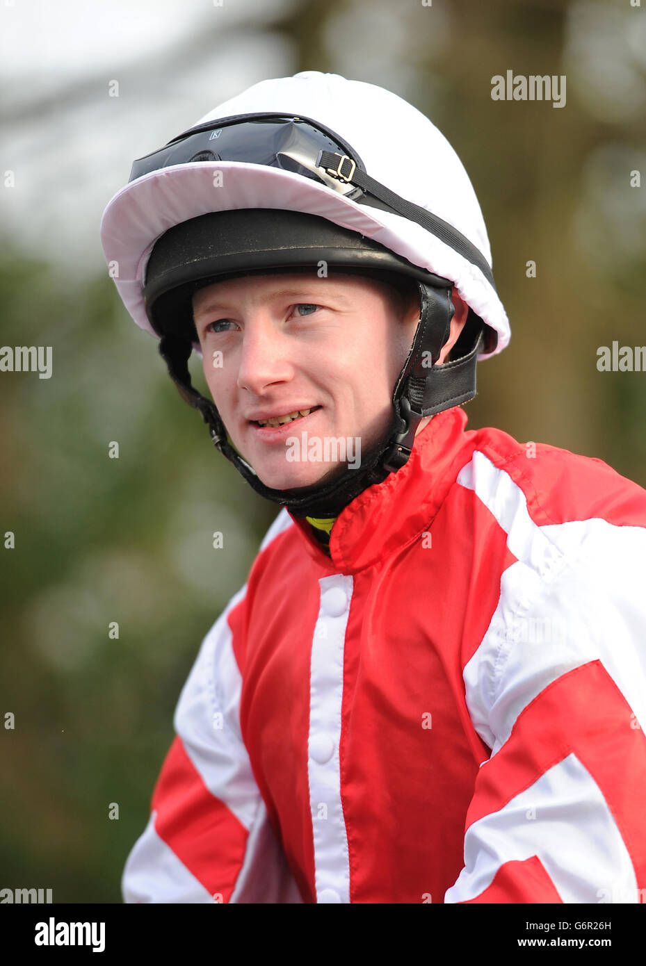 Pferderennen - Lingfield Park Stockfoto