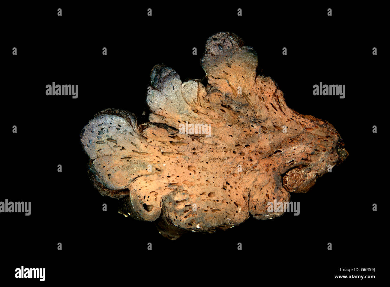 Pahoehoe-Lava, Idaho USA Stockfoto