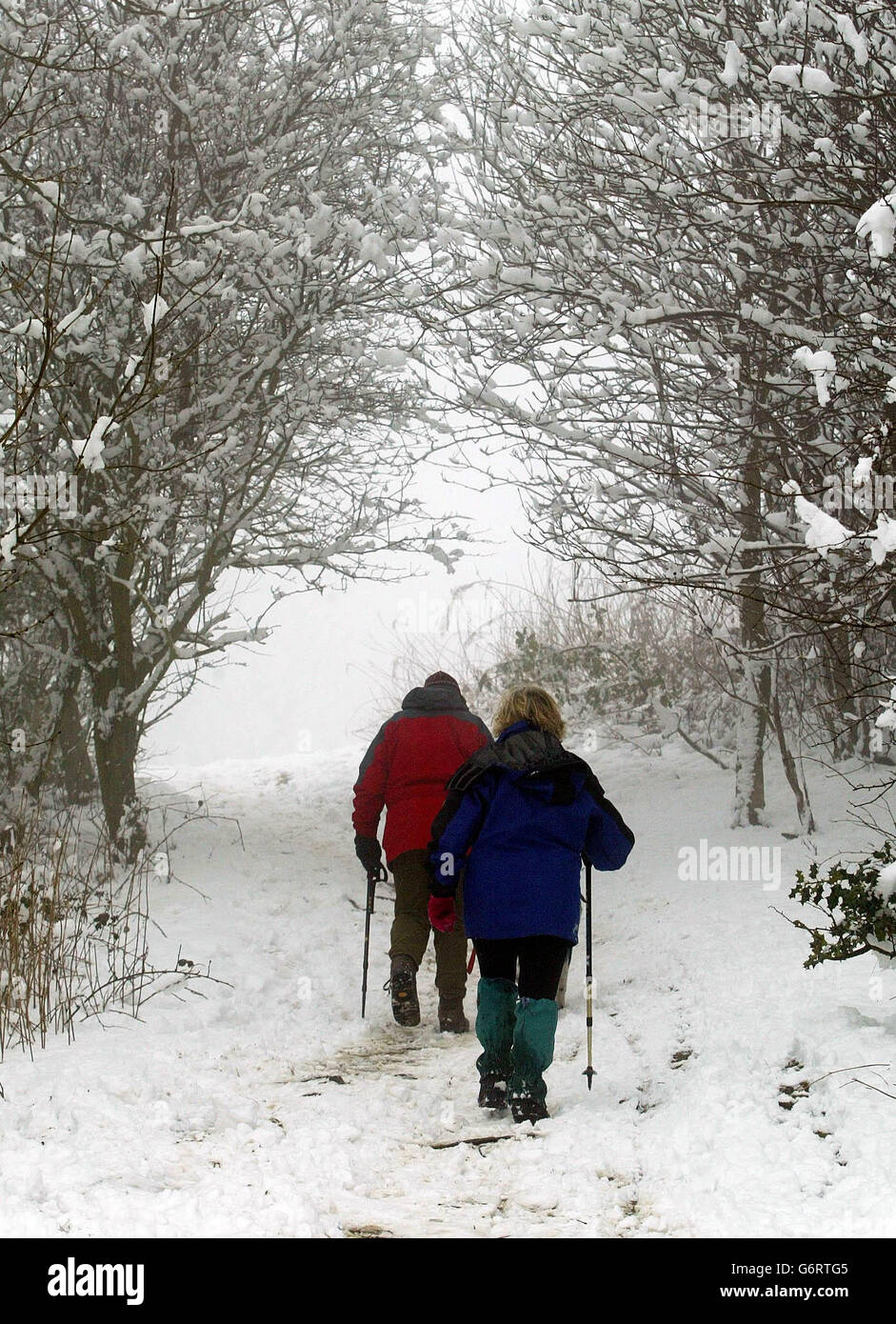 Pauline und Bob Wood nehmen ihren Hund mit auf einen Spaziergang in der Nähe ihres Hauses in den Malvern Hills, nach nächtlichen Schneeschauern. Ein nächtliches Regenguss hinterließ in Teilen der Midlands und Wales bis zu 14 Zentimeter Schnee, wobei auch Südengland betroffen war, obwohl das Wetter an diesem Wochenende voraussichtlich milder sein wird. Stockfoto