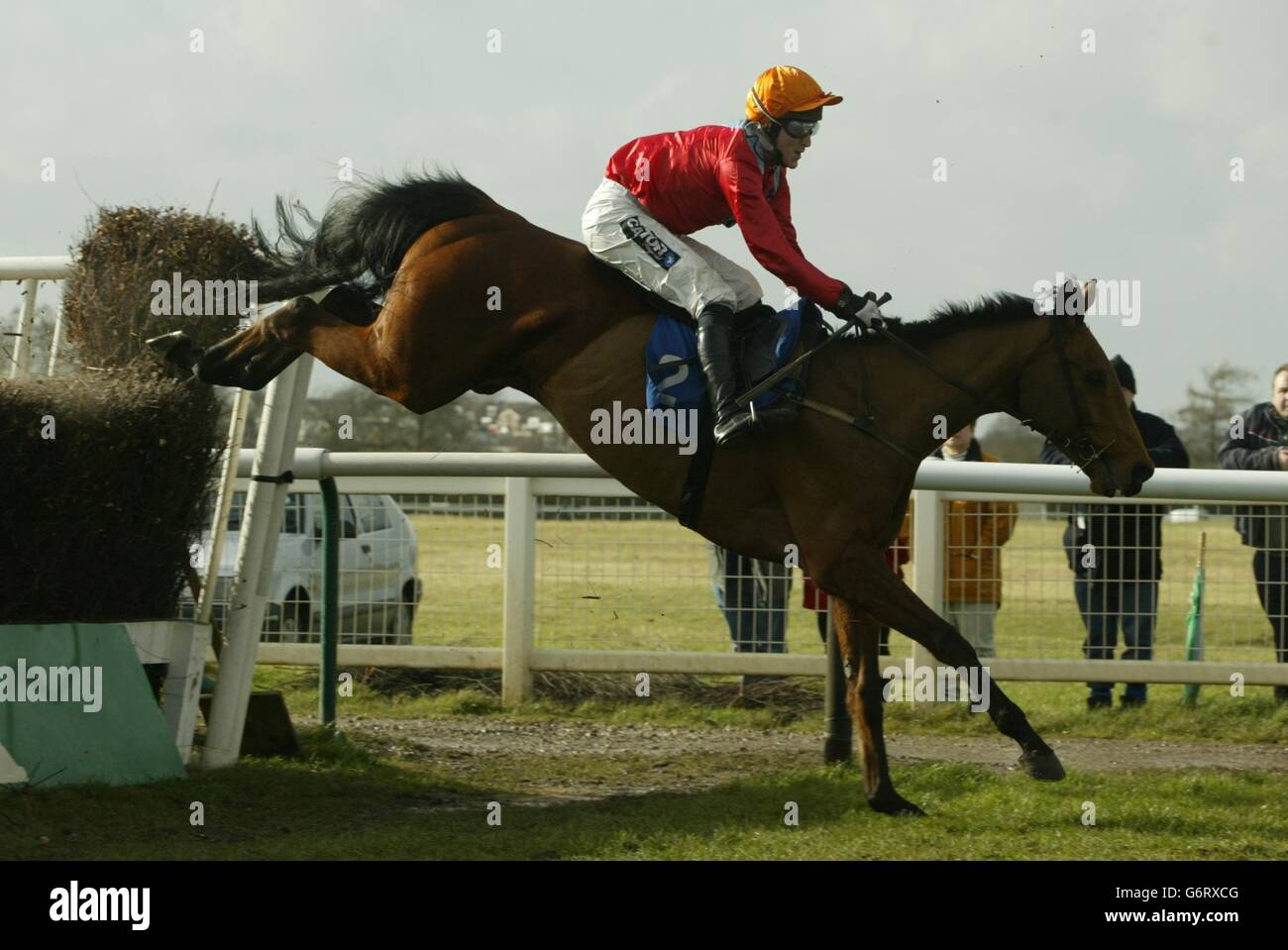 Jockey Stockfoto