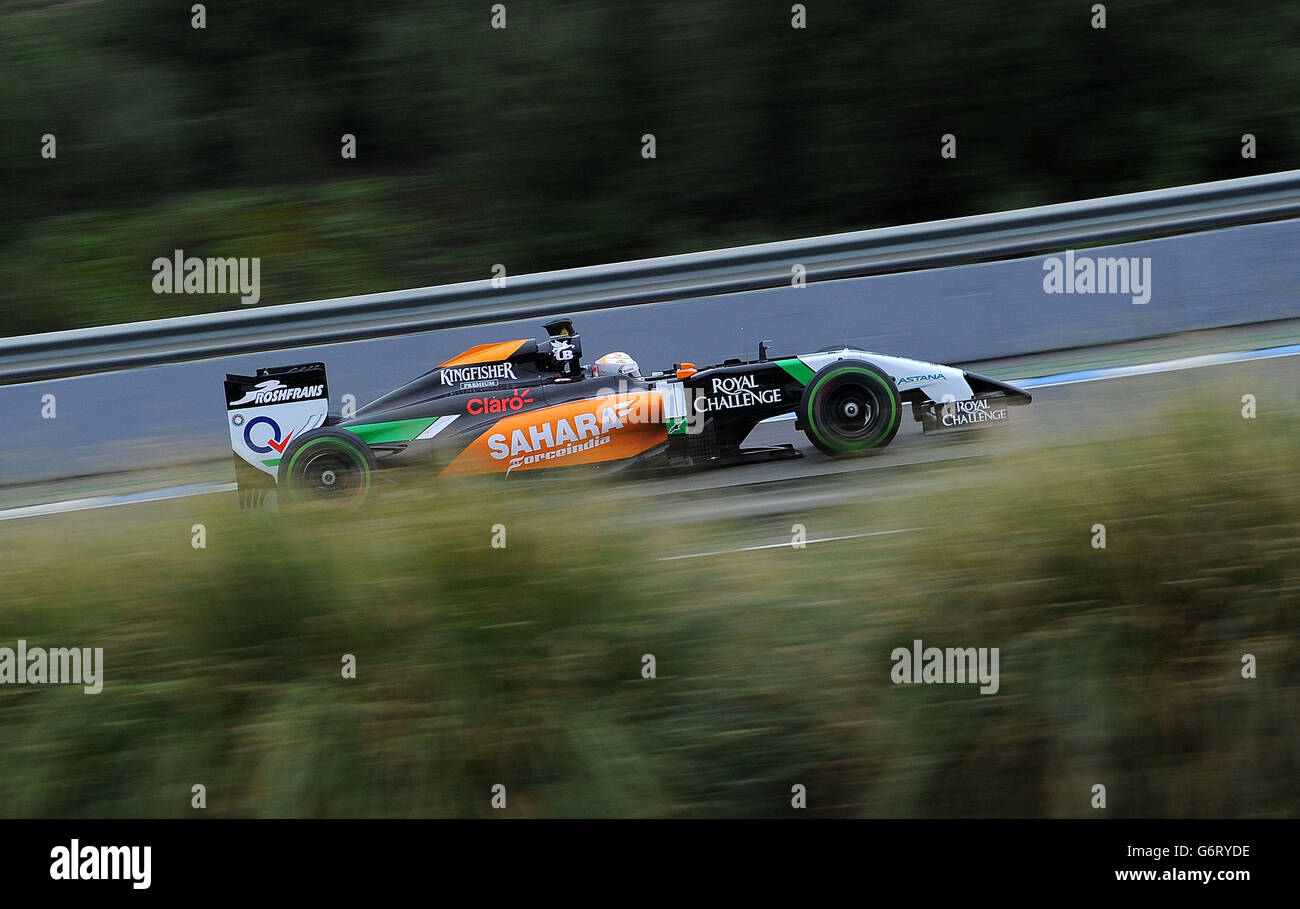 Williams-Pilot Felipe Massa, während der Formel-1-Prüfung 2014 auf dem Circuito de Jerez, Jerez, Spanien. Stockfoto