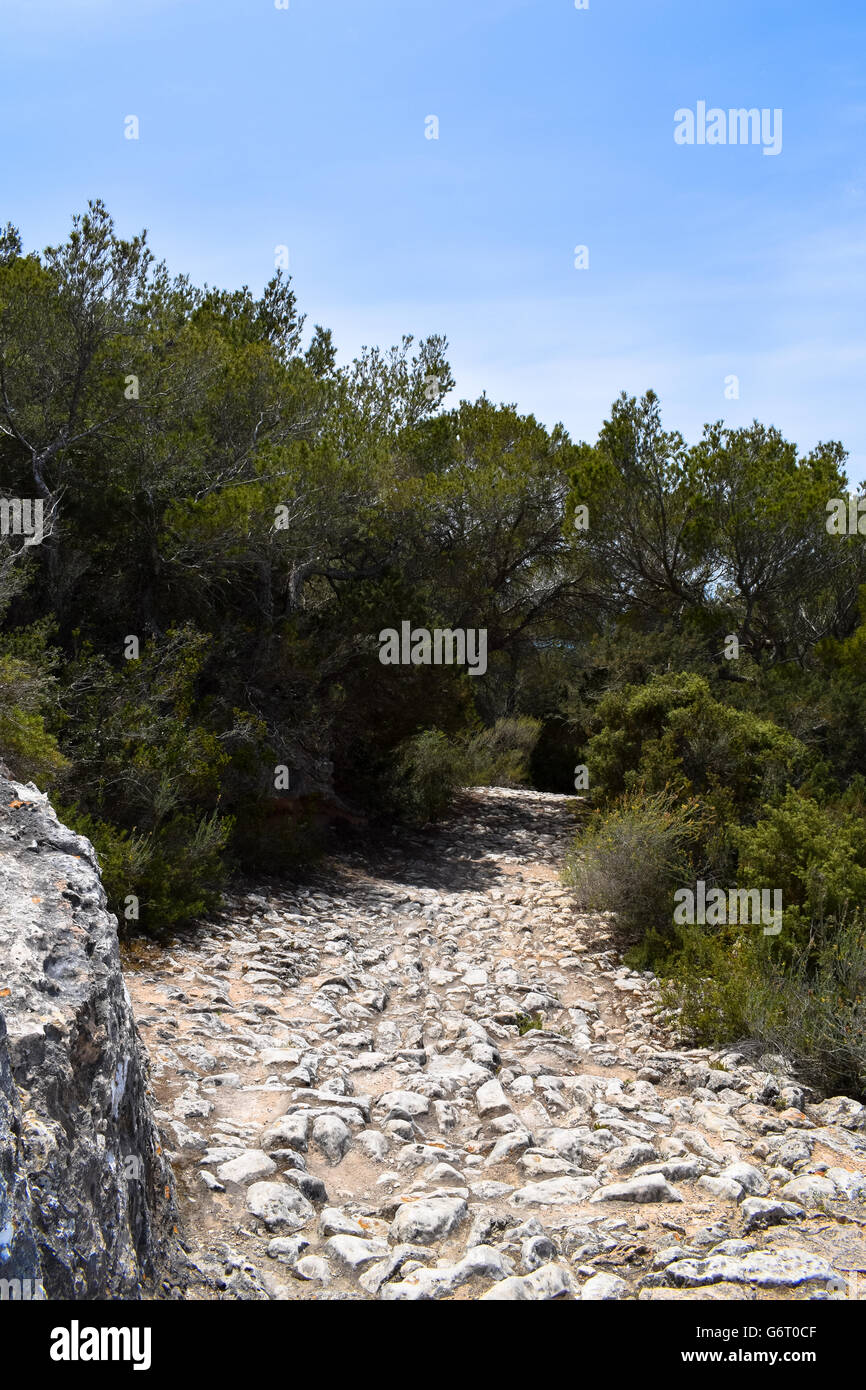 Steinigen Weg entlang Roma Cami de sa Pujada, Formentera Stockfoto