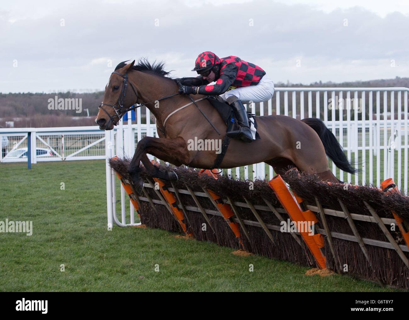 Kaylif Aramis von Ryan Hatch gewinnt beim Ascot Chase Day auf der Ascot Racecourse in Ascot das Great British Drama Handicap Hurdle Race. Stockfoto