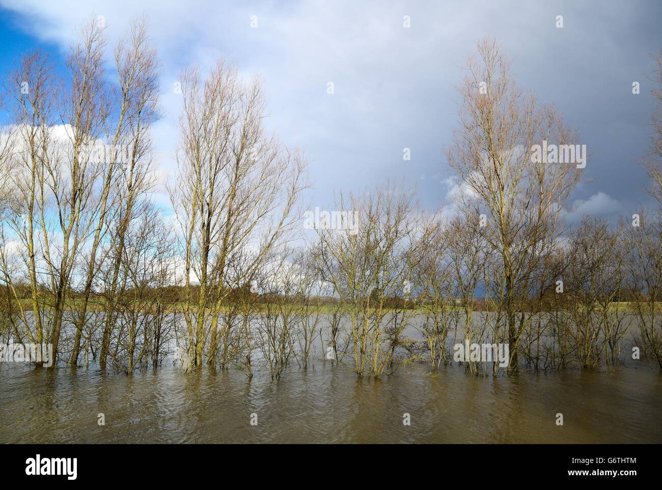 Eine allgemeine Ansicht eines Hochwasserspeichers in Hothfield in der Nähe von Ashford, Kent, da der Flussspiegel in diesem Gebiet weiter ansteigt. Stockfoto