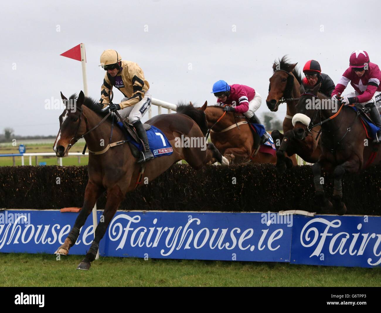 Pferderennen - Fairyhouse Racecourse. Allein von Ruby Walsh geritten gewinnt die Bobbyjo Steeplechase auf der Fairyhouse Racecourse, Ratoath, Irland. Stockfoto