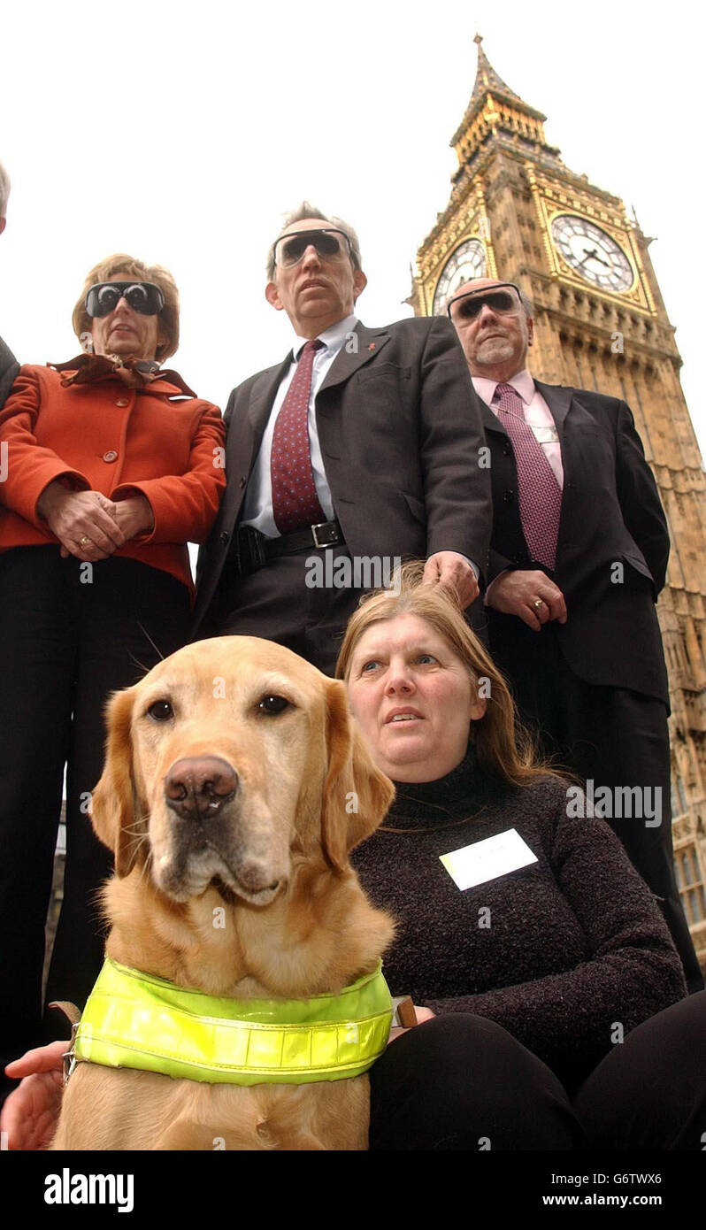 Sue Pett (unten rechts) aus Putney West London, mit ihrem Führerhund Sam, sitzt vor (links nach rechts) Sue Doughty MP für Guildford, Neil Gerrard MP für Walthamstow und Jim Dobbin, MP für Heywood und Middleton, mit abgedunkelten Schutzbrillen vor dem House of Commons, London, Die Kampagne „Guide Dogs for the Blind Association: Safer Streets“ zu starten, um Sehbehinderten das Alleingehen zu erleichtern. Die 1.4 Millionen blinden und sehbehinderten Menschen Großbritanniens sind von alltäglichen Gegenständen bedroht, die die Straßen durcheinander bringen, wie Gerüste, Mülltonnen, überwucherte Hecken und uneben Stockfoto