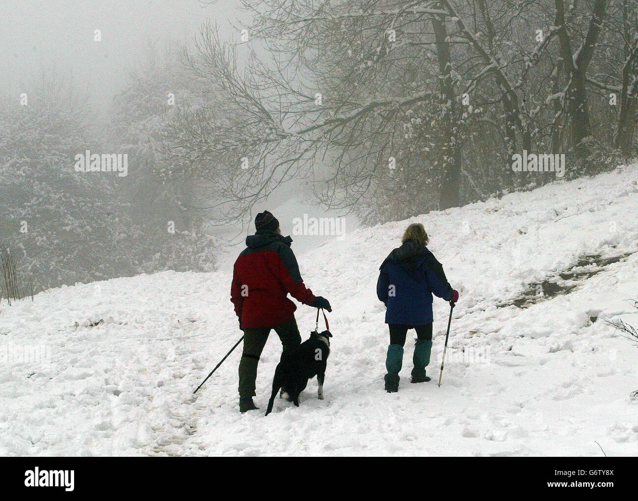 Pauline und Bob Wood nehmen ihren Hund mit auf einen Spaziergang in der Nähe ihres Hauses in den Malvern Hills, nach nächtlichen Schneeschauern. Ein nächtliches Regenguss hinterließ in Teilen der Midlands und Wales bis zu 14 Zentimeter Schnee, wobei auch Südengland betroffen war, obwohl das Wetter an diesem Wochenende voraussichtlich milder sein wird. Stockfoto