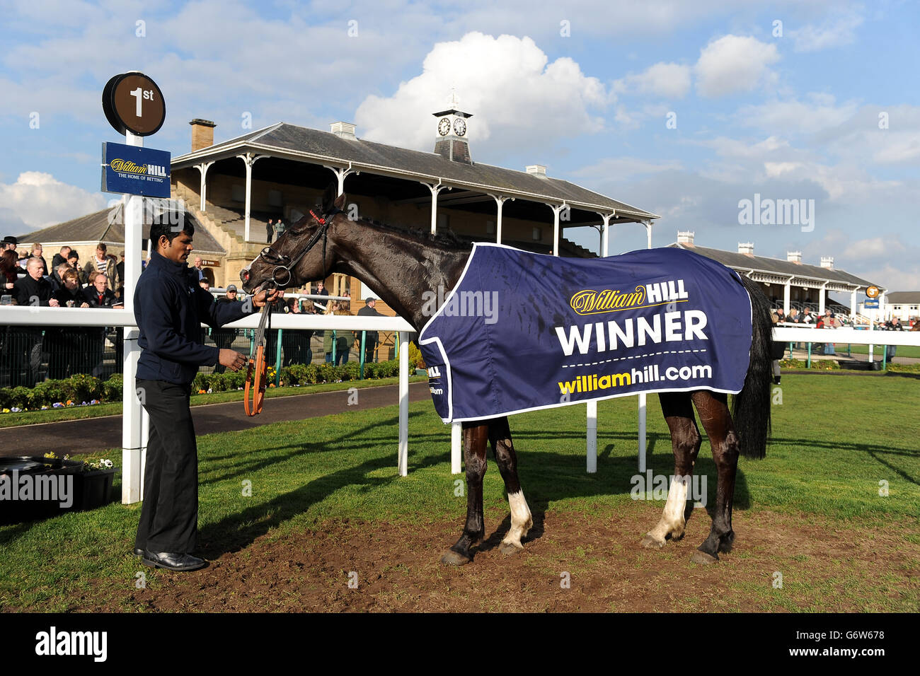 Pferderennen - Grimthorpe Chase Meeting - Tag Zwei - Doncaster Racecourse. Mayfair Music in der Siegereinhausung nach dem Sieg im William Hill - Bet on the Move Mares' Novizen' Hurdle Stockfoto