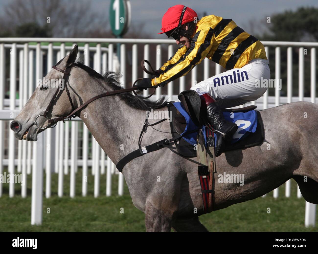 Graywell Boy, geritten von Richard Johnson, gewinnt die Charles Stanley Handicap Steeple Chase während des Grand Military Gold Cup Day im Sandown Park, Sandown. Stockfoto