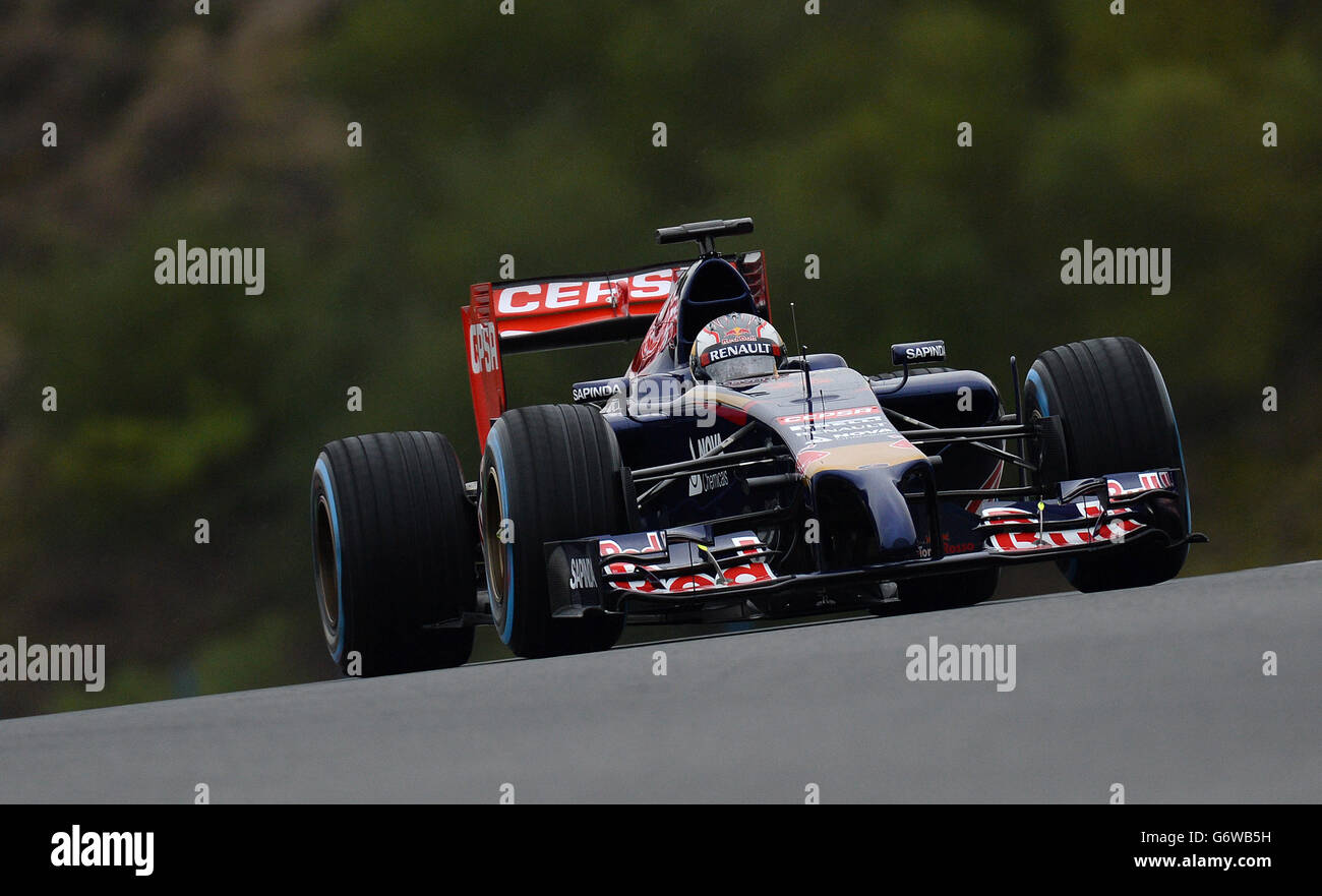 Toro Rosso Daniil Kvyat, während des Formel 1 Tests 2014 auf dem Circuito de Jerez, Jerez, Spanien. Stockfoto