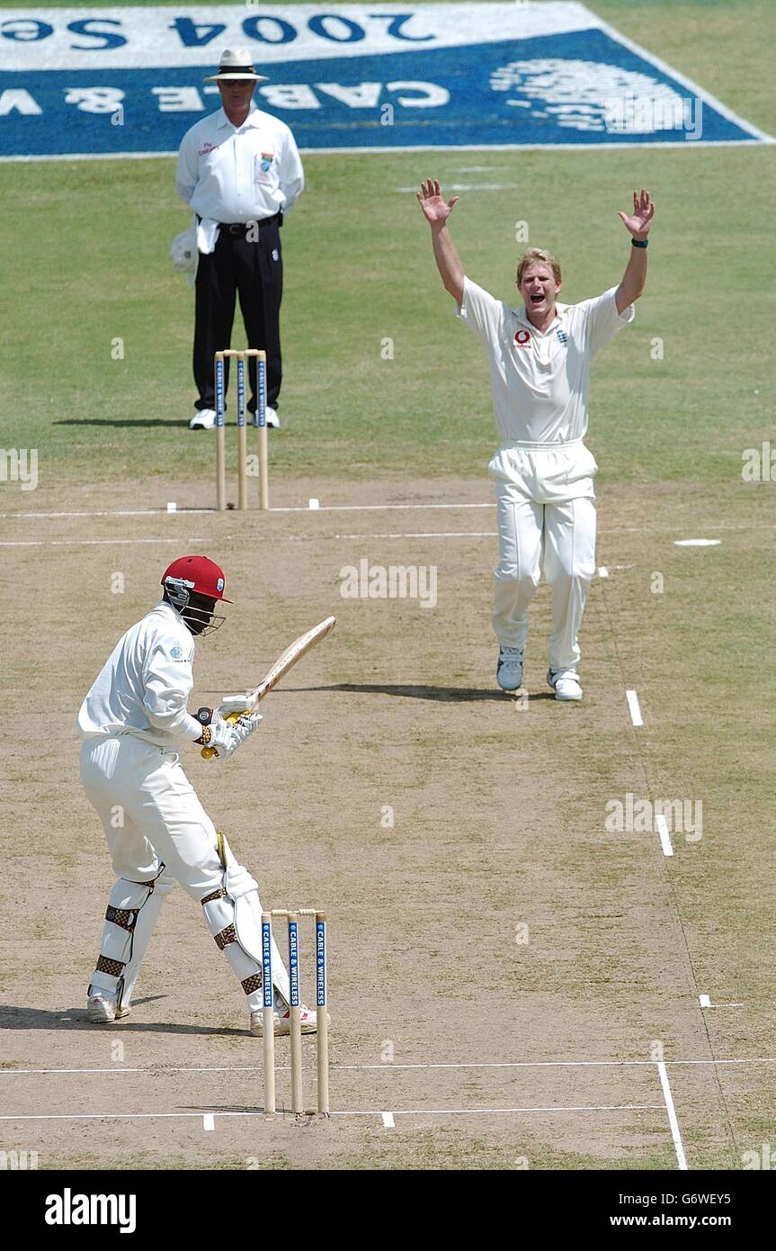 England Bowler Matthew Hoggard appelliert beim Start des 3. Tests am Kensington Oval, Bridgetown, Barbados, für das lbw-Wicket des westindischen Schlagmanns Chris Gayle. Stockfoto