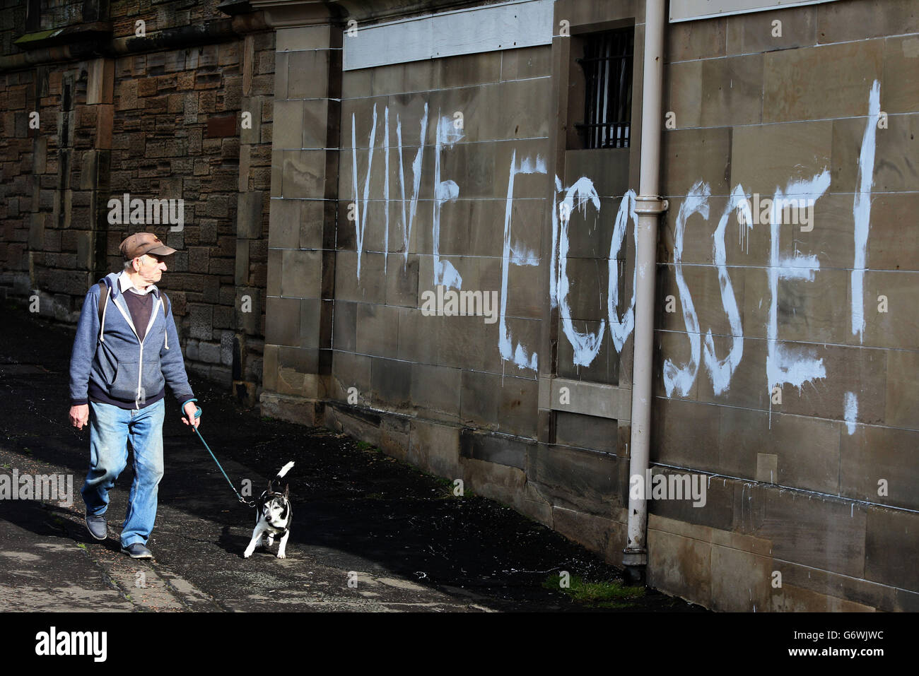 Schottisches Unabhängigkeitsreferendum. Ein Mann, der mit seinem Hund geht, geht an Graffiti an einer Wand in der Murrayfield Avenue in Edinburgh vorbei. Stockfoto