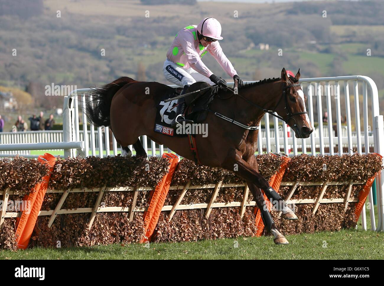 Pferderennen - 2014 Cheltenham Festival - Champion Day - Cheltenham Rennbahn. Vautour wird von Ruby Walsh auf dem Weg zum Sieg der Sky Bet Supreme Novizen-Hürde am Champion Day während des Cheltenham Festivals gefahren. Stockfoto